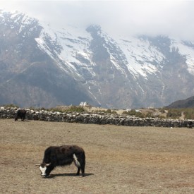 Khumjunj Village